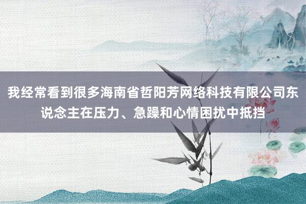 我经常看到很多海南省哲阳芳网络科技有限公司东说念主在压力、急躁和心情困扰中抵挡