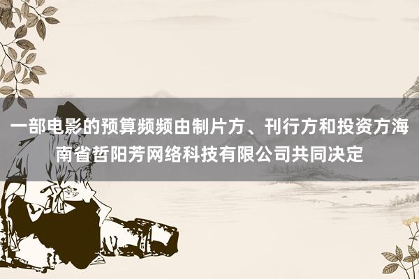 一部电影的预算频频由制片方、刊行方和投资方海南省哲阳芳网络科技有限公司共同决定