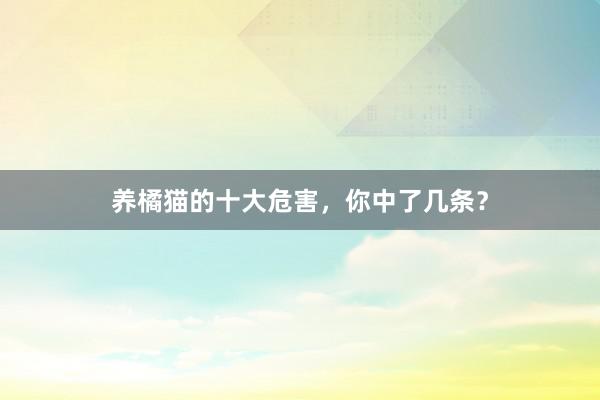 养橘猫的十大危害，你中了几条？