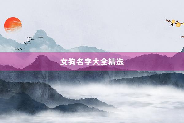 女狗名字大全精选