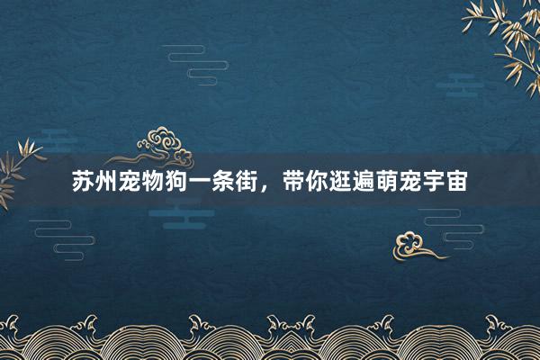 苏州宠物狗一条街，带你逛遍萌宠宇宙